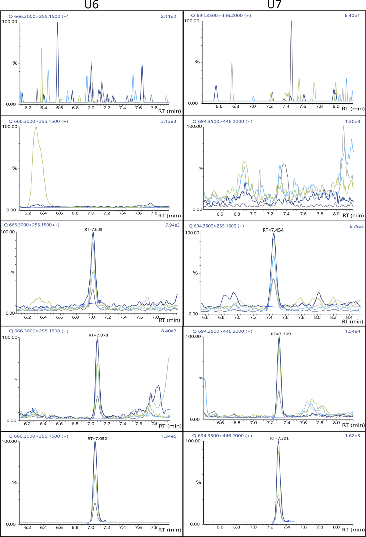 does semaglutide show up in a urine test Identification of semaglutide use through detection of U6 and U7  metabolites in human urine | Analytical and Bioanalytical Chemistry