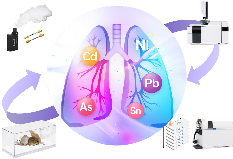 Analytical investigation of metal distribution from e-cigarette aerosols to  lung deposition using multi-platform mass spectrometry | Analytical and  Bioanalytical Chemistry | Springer Nature Link