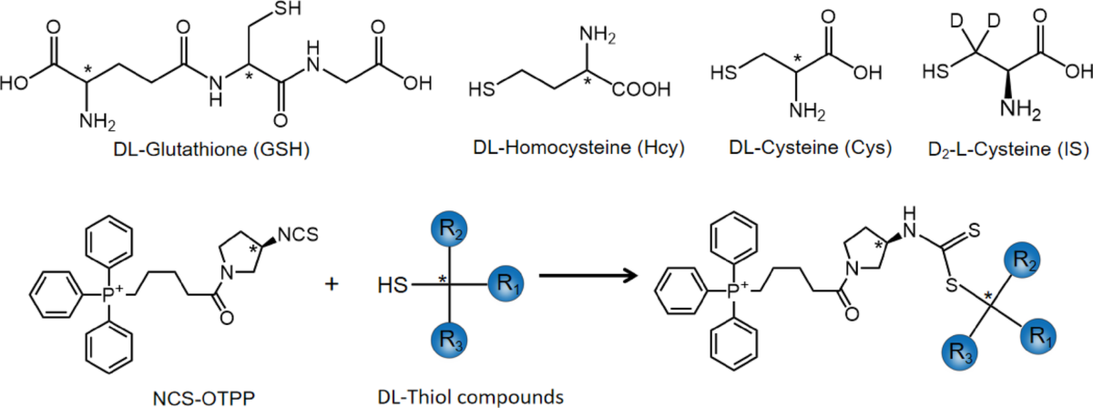 glutathione s transferase detoxification The Multifaceted Role of Glutathione S-Transferases in Health and Disease