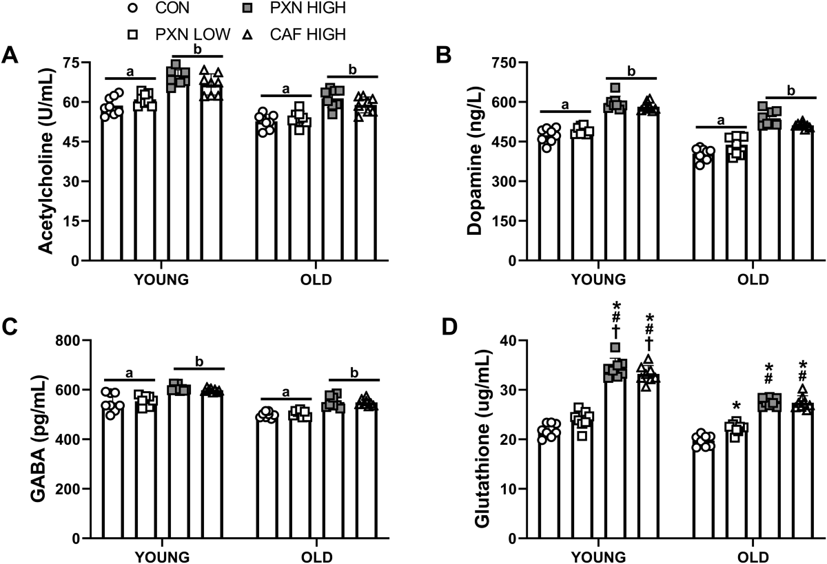 ipamorelin effect on cortisol Ipamorelin Peptide Therapy in Florida: The Gentle Path to Recovery &  Vitality