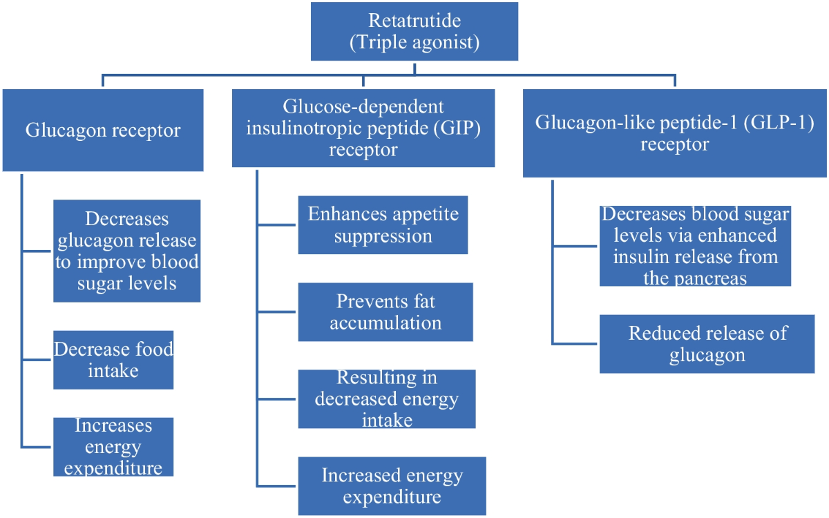 gastroparesis and glp 1 drugs Does Ozempic Cause Gastroparesis? [2026 Update]