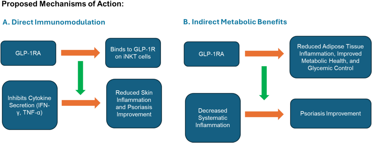 glp-1 and psoriatic arthritis GLP-1 receptor agonists: emerging therapeutic potential in psoriasis  management — current evidence and future outlook | European Journal of  Clinical Pharmacology