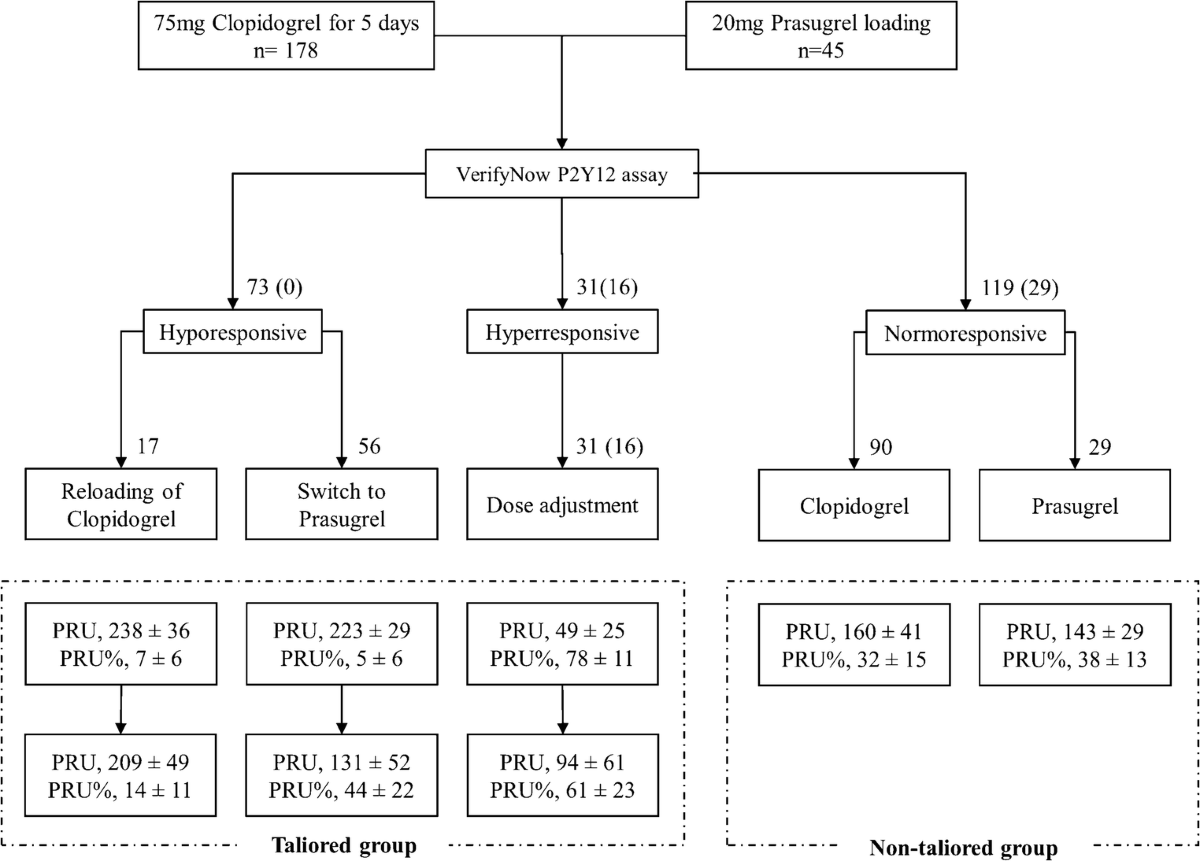 Tailored antiplatelet agent medication in clopidogrel hyporesponsive  patients before stent-assisted coiling: single-center experience |  Neuroradiology