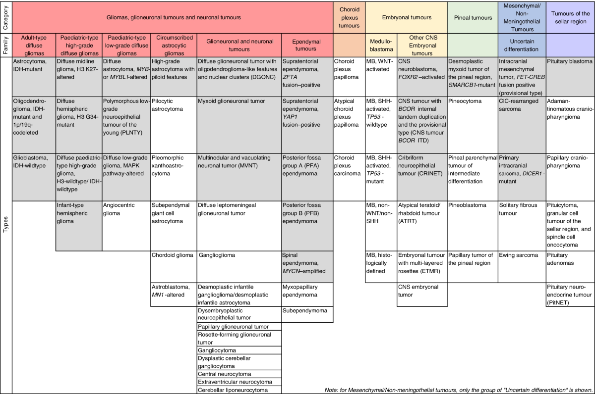 2021 WHO classification of tumours of the central nervous system