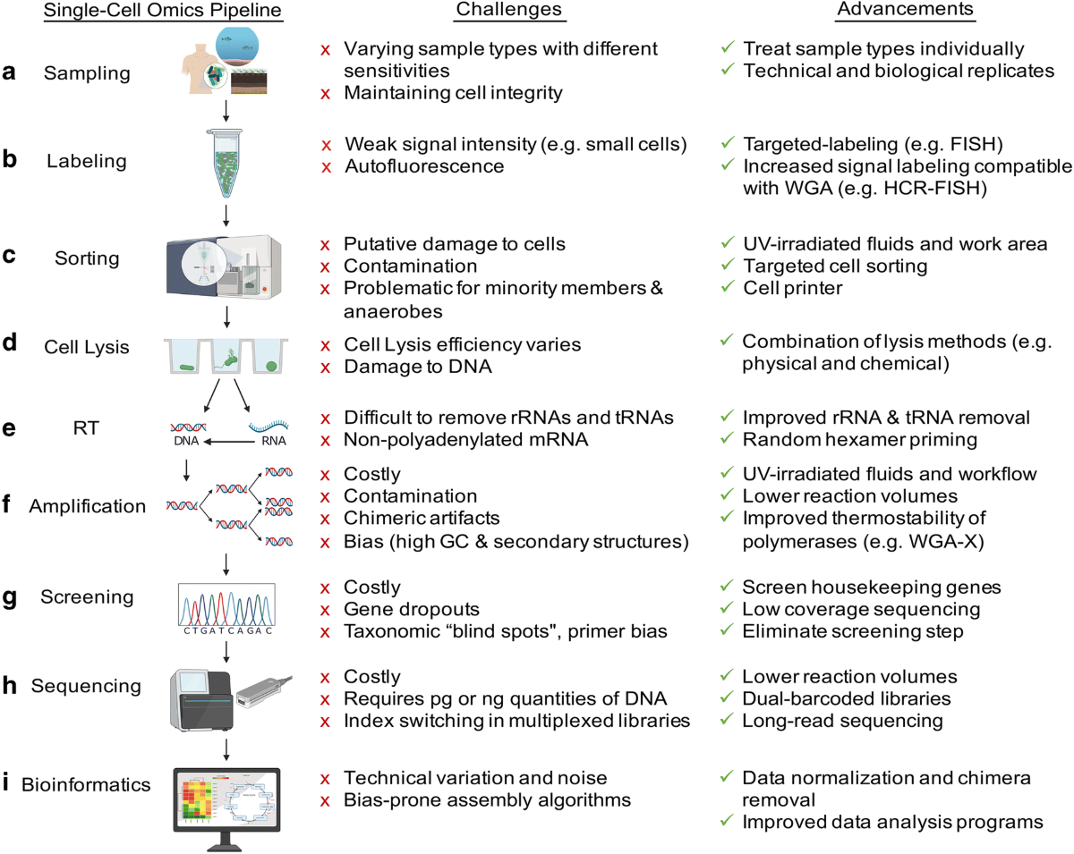 Microbial single-cell omics: the crux of the matter | Applied Microbiology  and Biotechnology