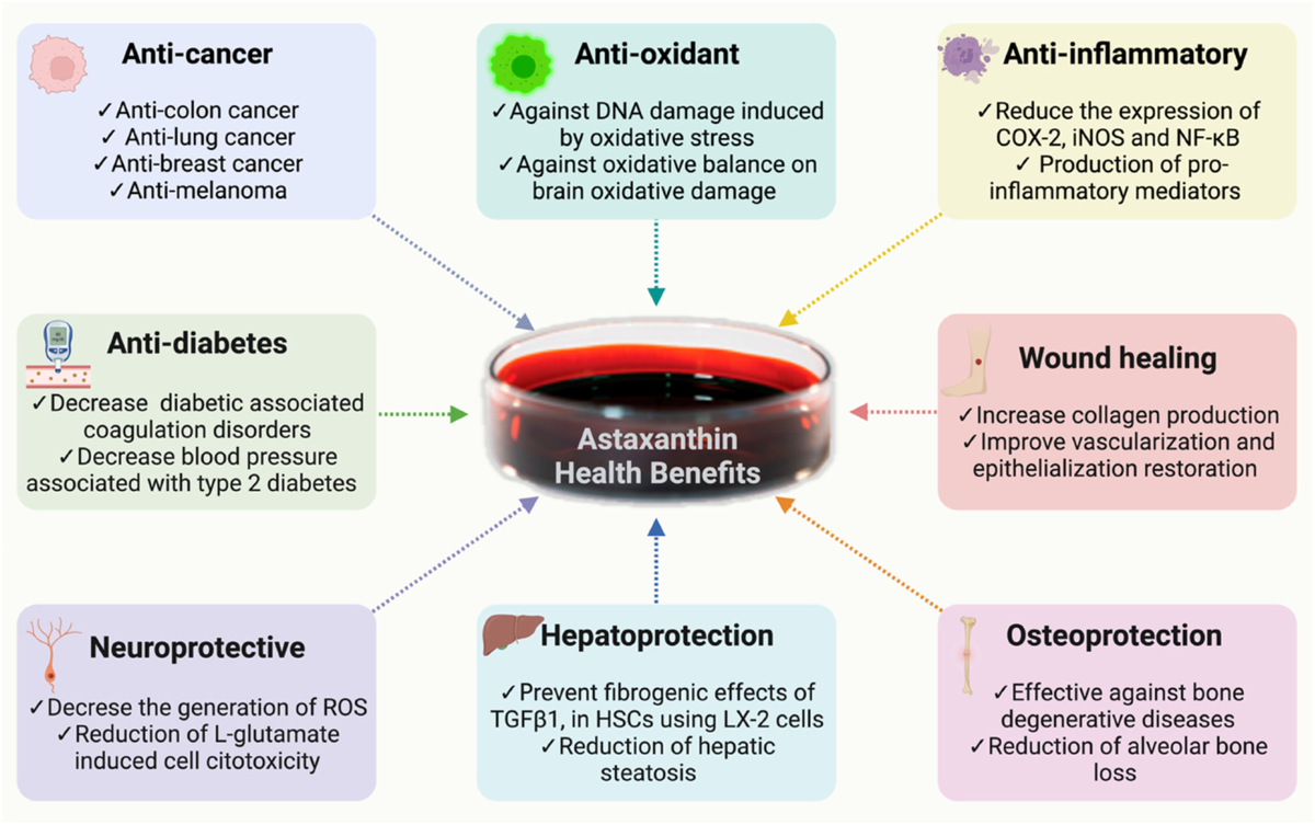 Astaxanthin Benefits 