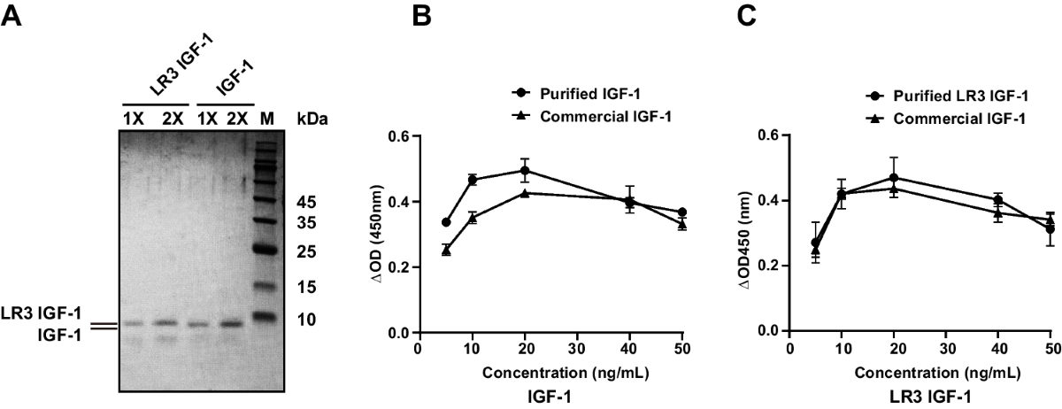 srs glutathione IGF-1 Test main image 1