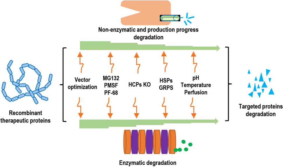 glutathione transferase mechanism of action The role of glutathione S-transferases in human disease pathogenesis and  their current inhibitors