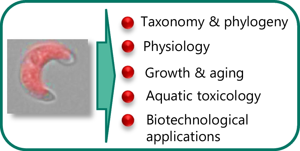 biogreen labs glutathione avis Oxidative Stress-Induced Gastrointestinal Diseases: Biology and NanomedicinesA Review Arabidopsis E3 ubiquitin ligase PLANT