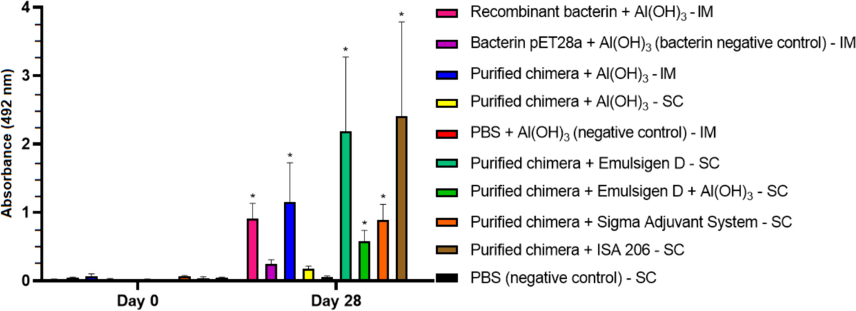 Chimeric lipoproteins for leptospirosis vaccine: immunogenicity and protective potential | Applied Microbiology and Biotechnology chimeric-lipoproteins-for-leptospirosis-vaccine-immunogenicity-and-protective-potential-applied-microbiology-and-biotechnology