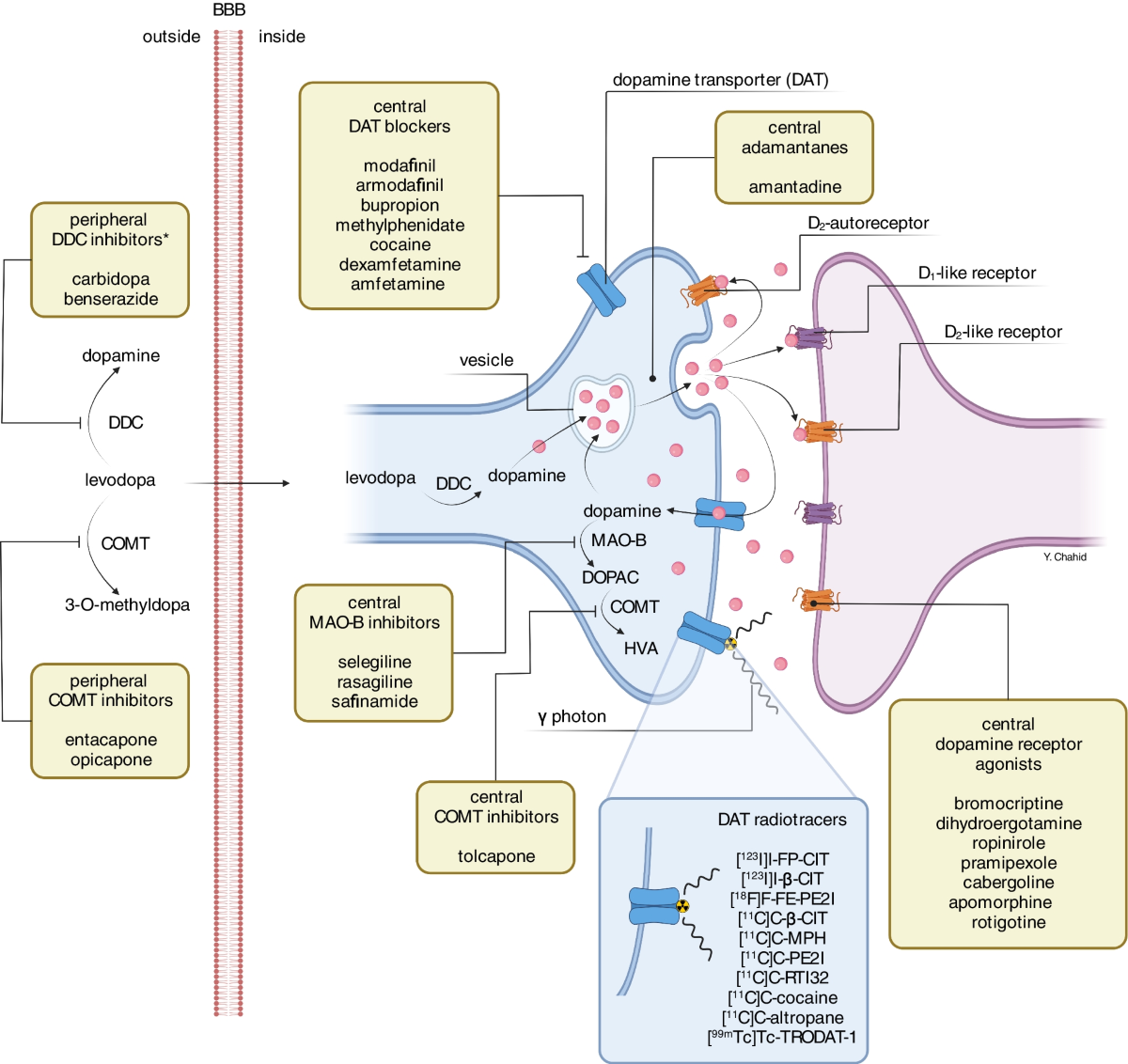 Concerta mechanism of action illustration