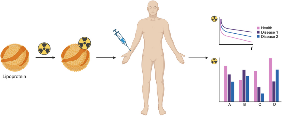 Radiolabeling lipoproteins to study and manage disease | European Journal  of Nuclear Medicine and Molecular Imaging