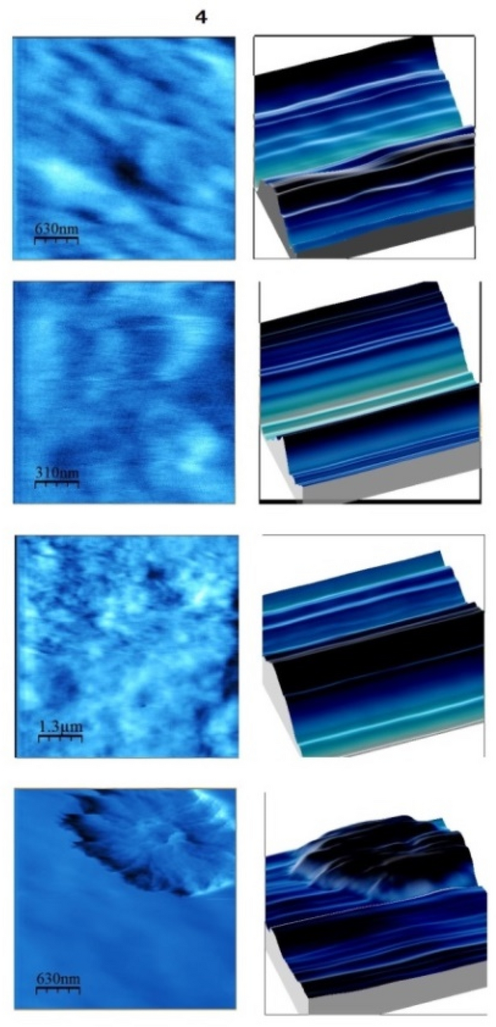 Response surface methodology model to optimize concentration of agar,  alginate and carrageenan for the improved properties of biopolymer film |  Polymer Bulletin