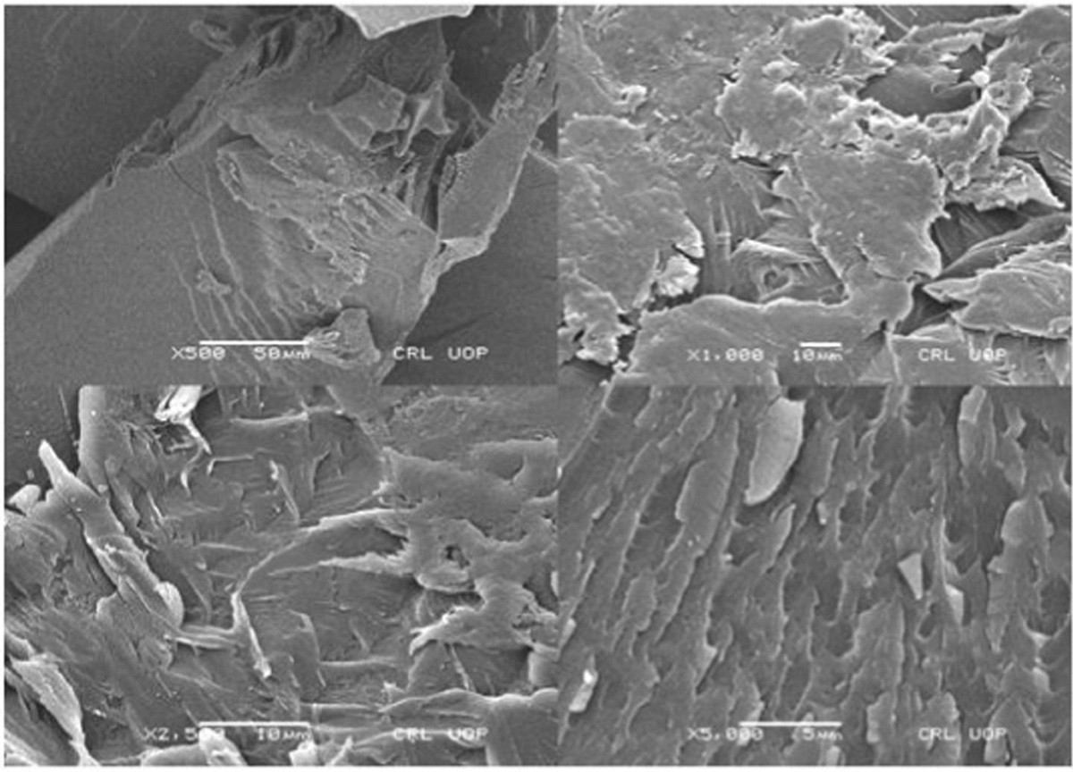 Development and characterization of stimuli responsive quince gum/β-CD  grafted poly (methacrylate) hydrogels for controlled delivery of acyclovir  | Polymer Bulletin