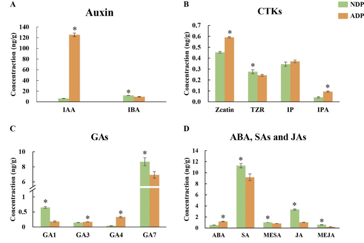 Excessive accumulation of auxin inhibits protocorm development during  germination of Paphiopedilum spicerianum | Plant Cell Reports