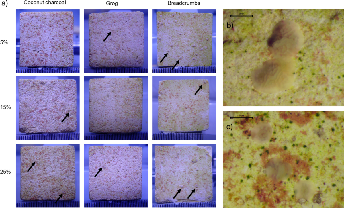 Cost-effective coral settlement substrates for restoration, exports and  research | Coral Reefs