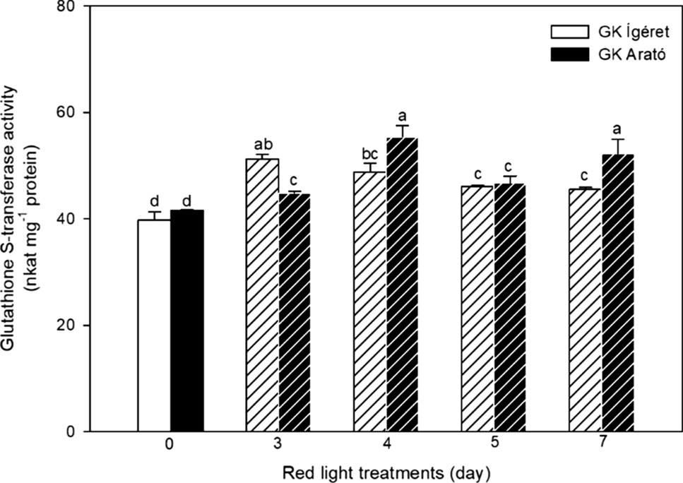 glutathione s transferase activity Glutathione in Vitamins and Supplements