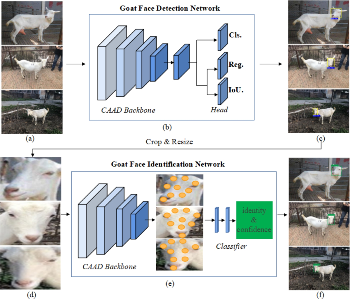 Context-assisted astrous deformable convolution for robust goat face  detection and identification | The Visual Computer