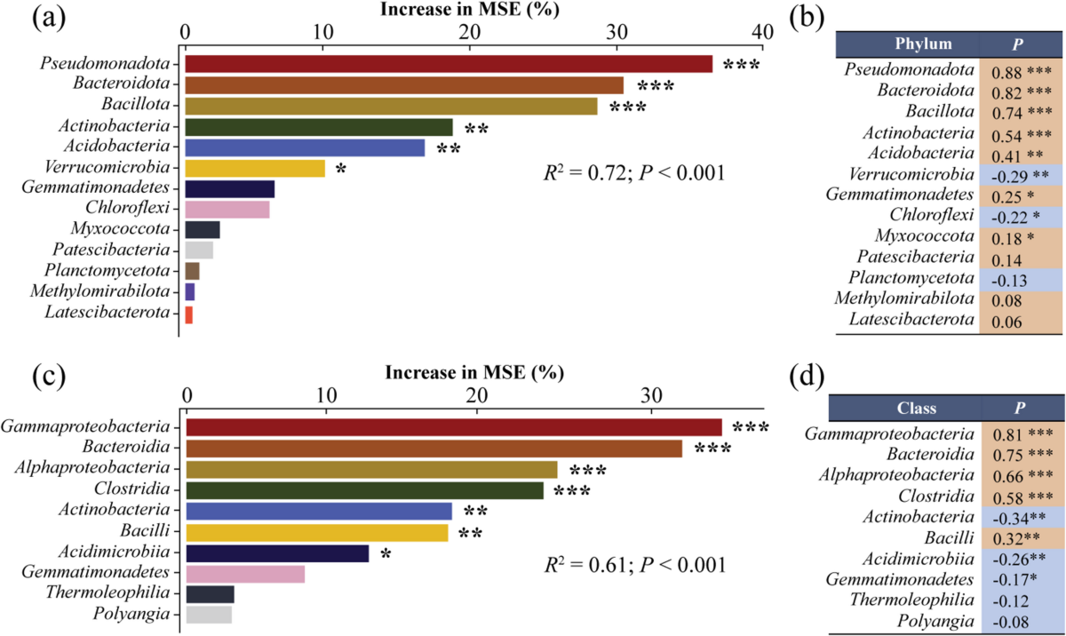 Herbivore Dung inputs mainly drive copiotrophic bacterial contributions to  soil nutrient pool turnover in alpine grasslands | Biology and Fertility of  Soils