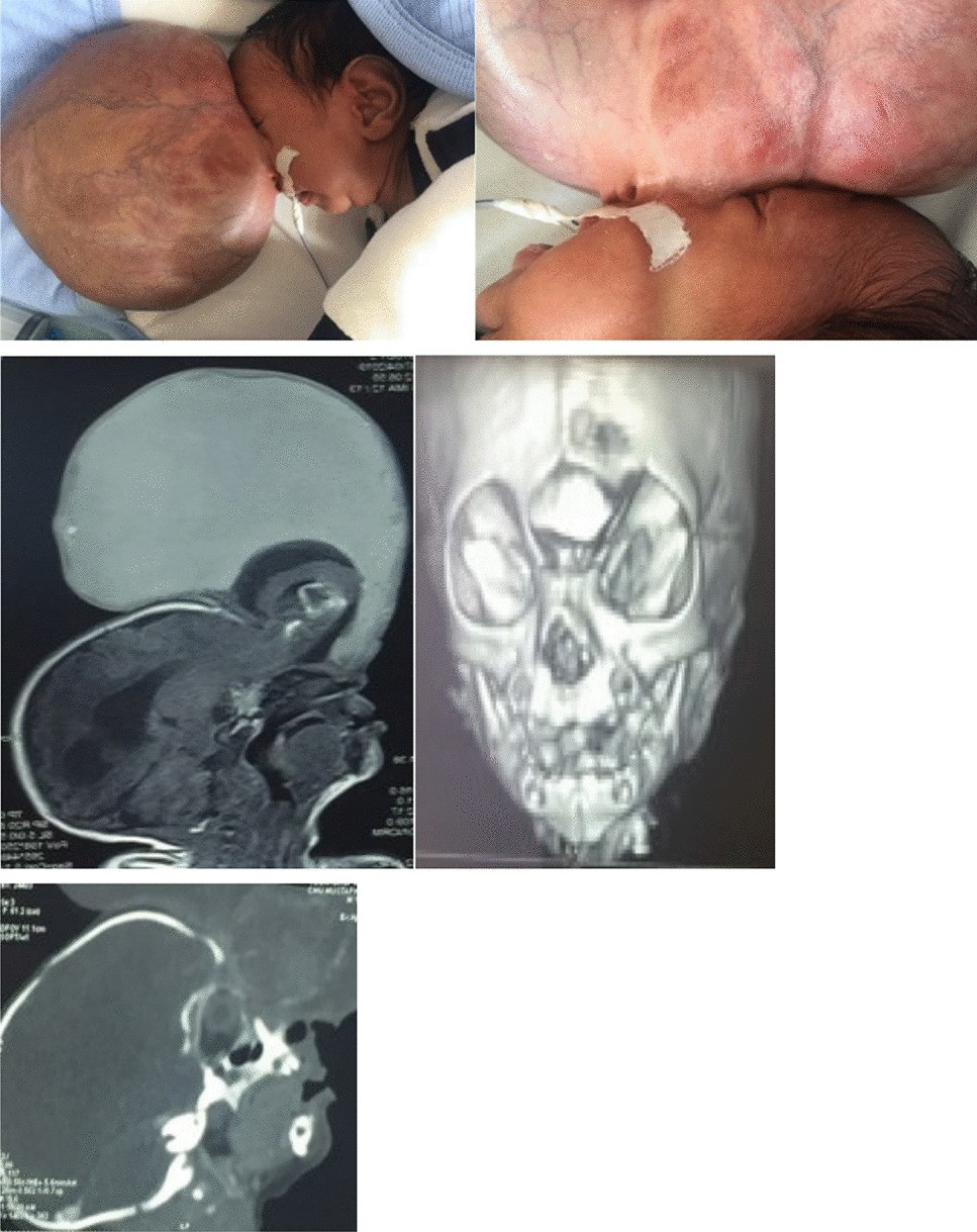 scandali\, image size:967x1219