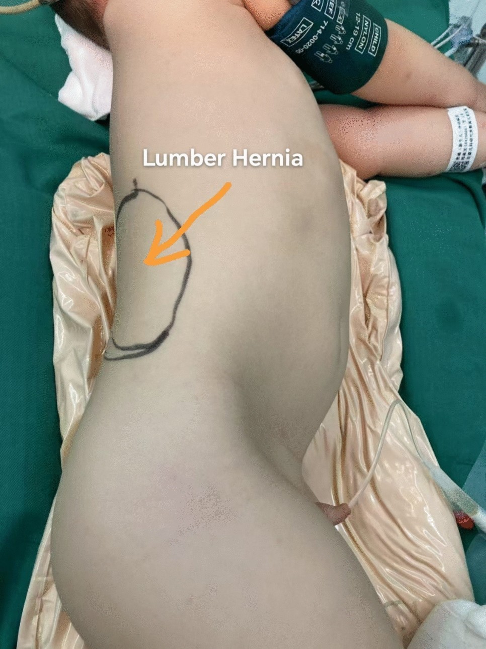 Gallery 98 | Martha Cooper, image size:966x1291