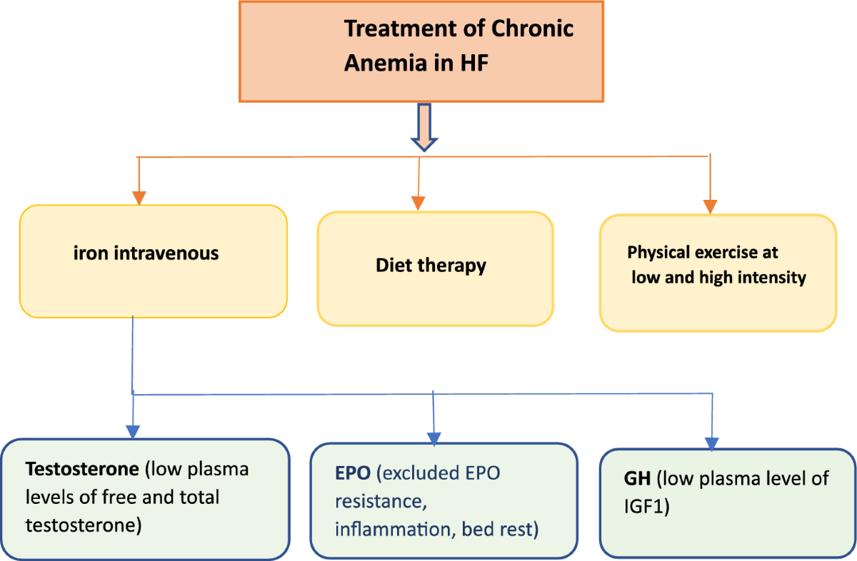 glutathione production genes Glutathione Synthase - an overview