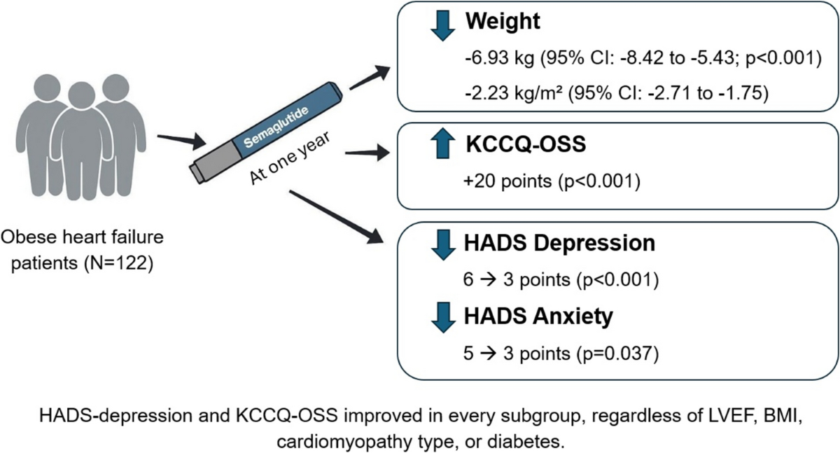 semaglutide for heart failure Impact of semaglutide on health outcomes and mood in obese heart failure  patients: a retrospective analysis | Clinical Research in Cardiology