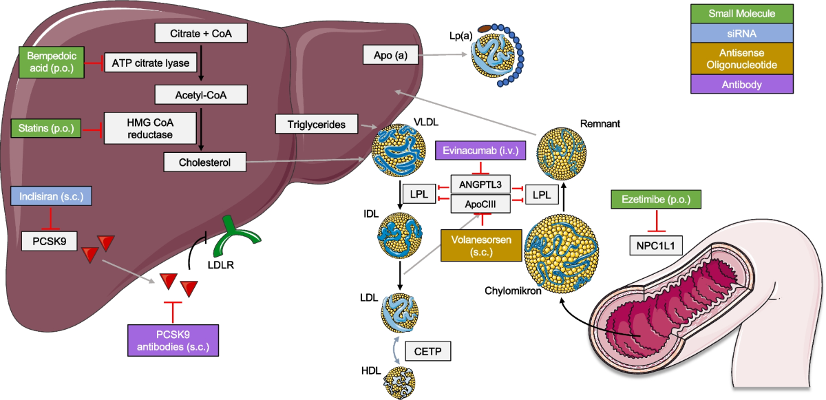 melanotan 2 side effects hair loss Stop Taking Melanotan II... Dermatologist Breaks It Down