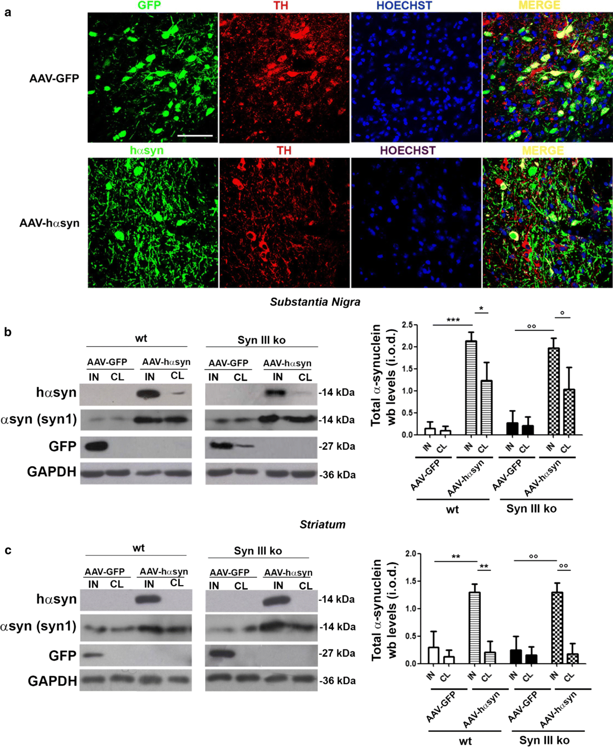 Subasta de Antigüedades y Libros by Morton Subastas - Issuu, image size:1200x1463