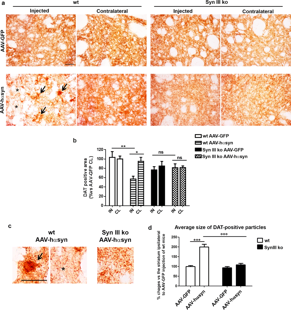 Numero 08 - L'ANCORA edicola, image size:1200x1275