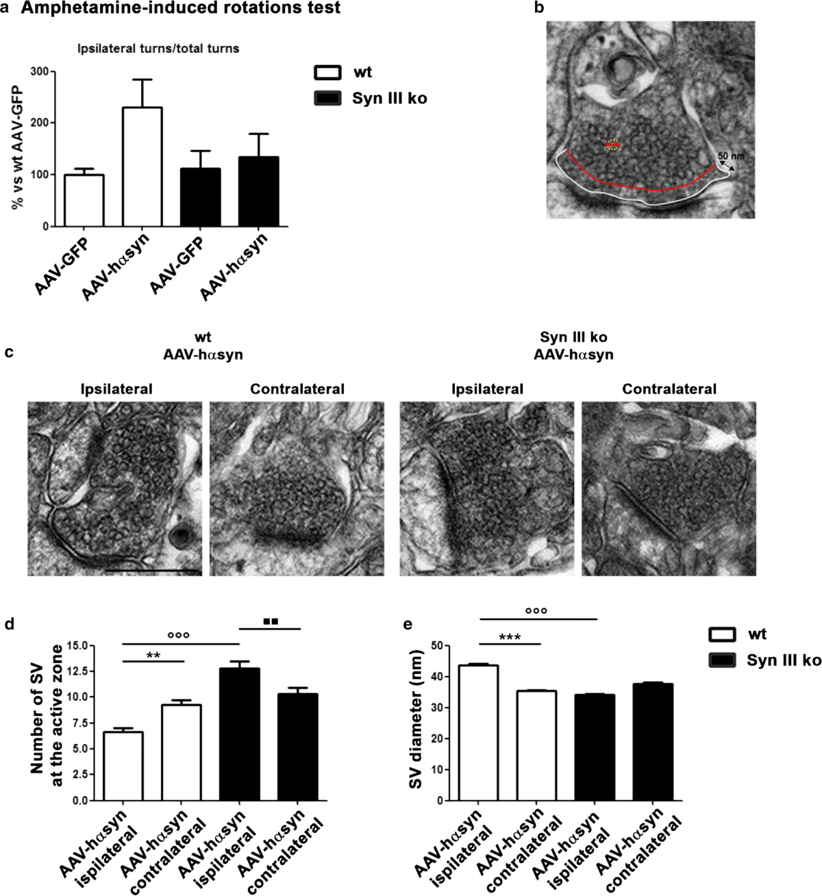 Spazio Illich | Brescia, image size:1200x1308