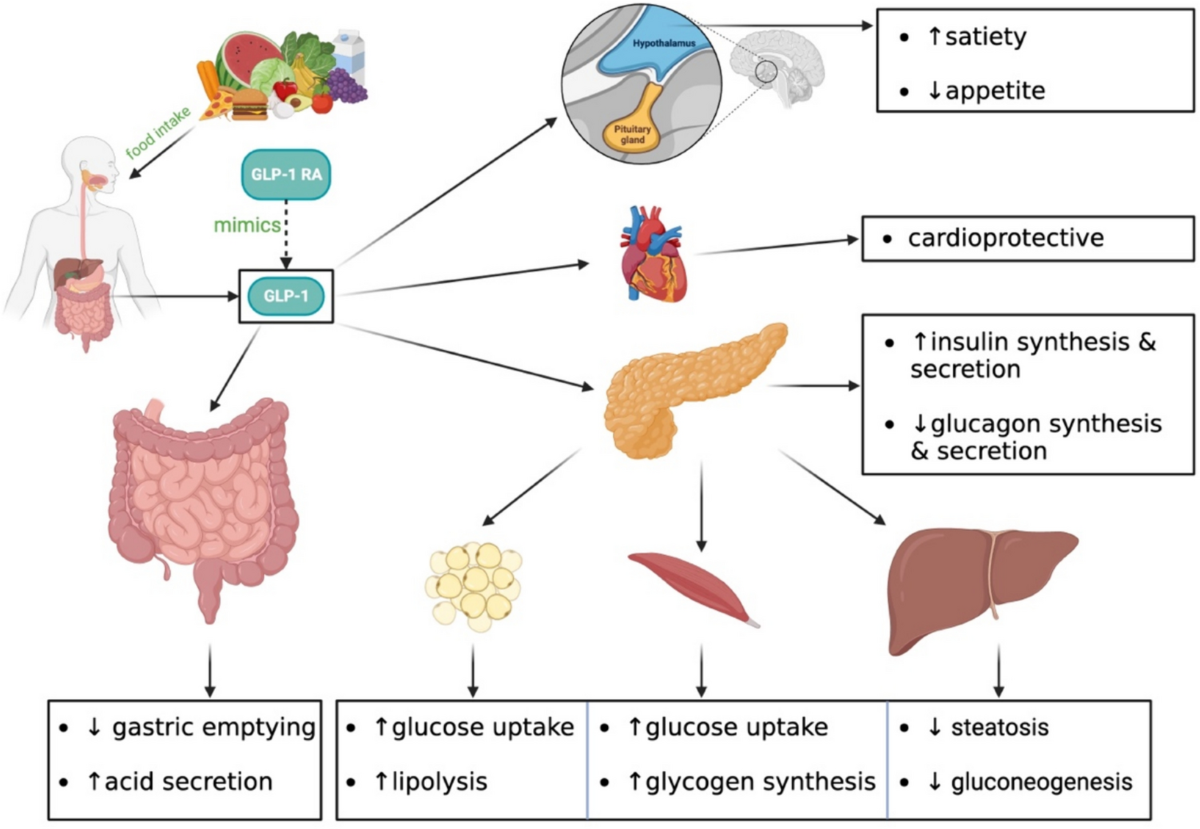 glp 1 injection site reactions Rare cutaneous adverse reactions associated with GLP-1 agonists: a review  of the published literature | Archives of Dermatological Research