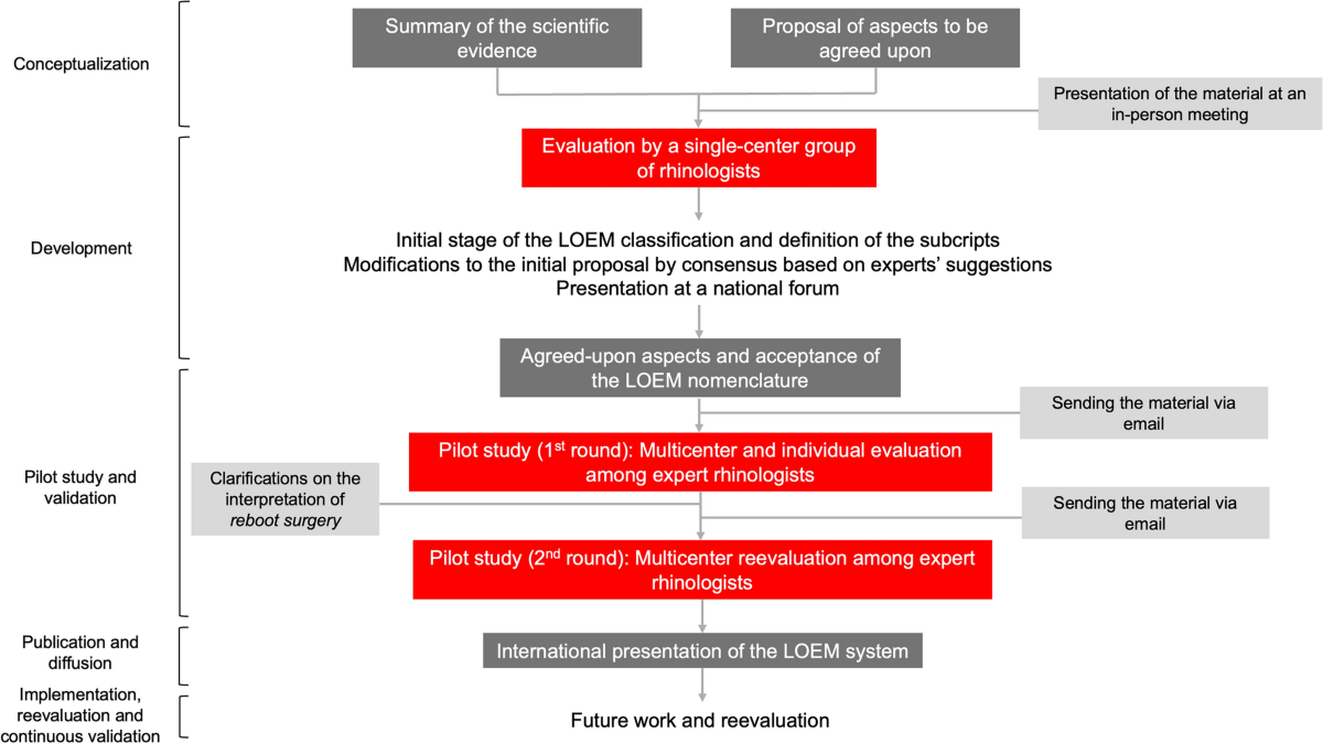The Lamella Ostium Extent Mucosa (LOEM) system: a new classification and  pilot study for endoscopic sinus surgery | European Archives of  Oto-Rhino-Laryngology | Springer Nature Link