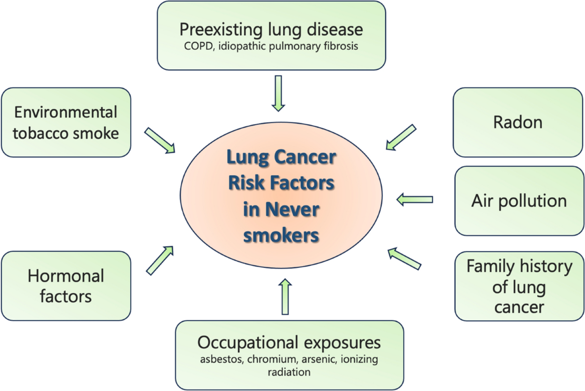 Lung Cancer in Never Smokers: Delving into Epidemiology, Genomic and Immune  Landscape, Prognosis, Treatment, and Screening | Lung
