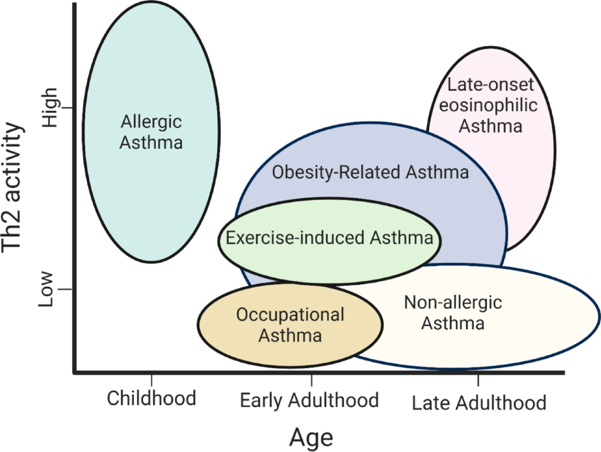 State of the Art Review: Glucagon-Like Peptide-1 in Obesity-Related Asthma  | Lung | Springer Nature Link