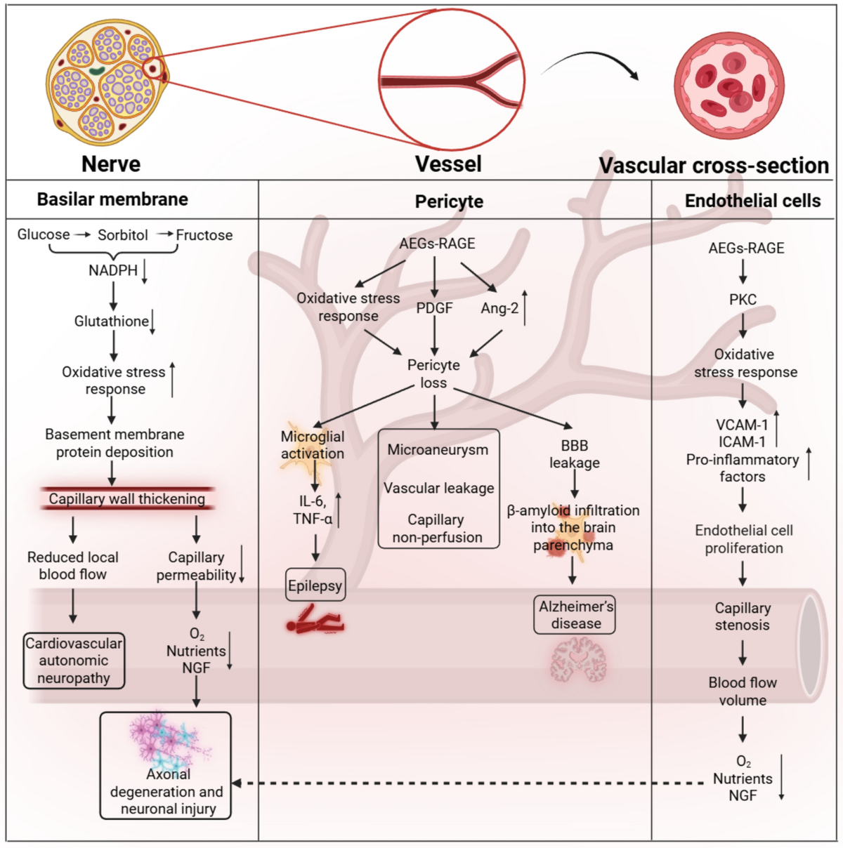 glutathione supports dna repair Apoptosis and glutathione: beyond an antioxidant