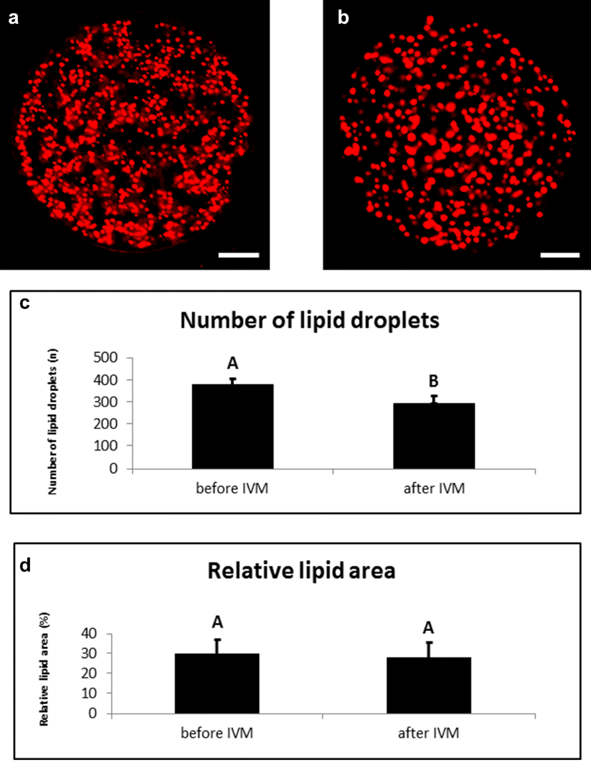 Genes regulating hormone stimulus and response to protein signaling  revealed differential expression pattern during porcine oocyte in vitro  maturation, confirmed by lipid concentration | Histochemistry and Cell  Biology