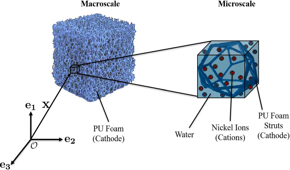 Modelling the electrodeposition of nickel on polyurethane foam | Archive of  Applied Mechanics