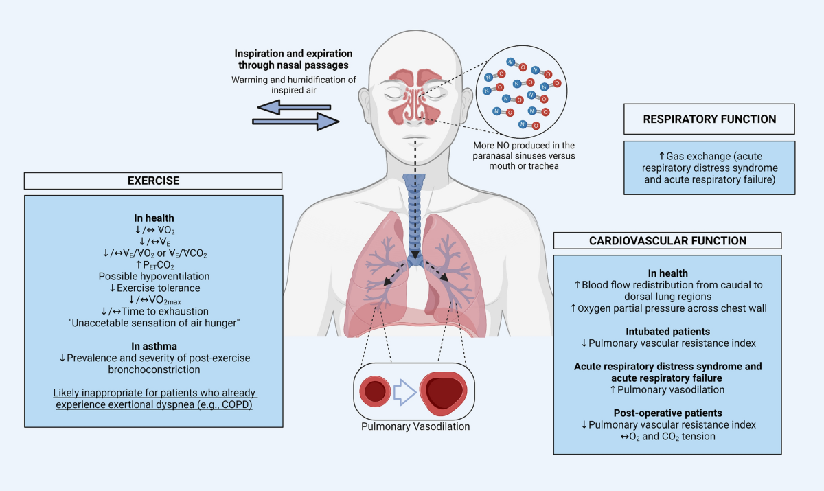 Distinguishing science from pseudoscience in commercial 