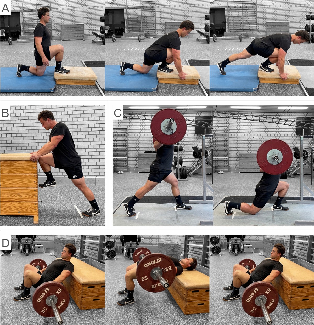 emg adductor longus exercises