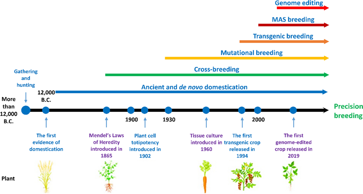Genome editing and beyond: what does it mean for the future of plant  breeding? | Planta | Springer Nature Link