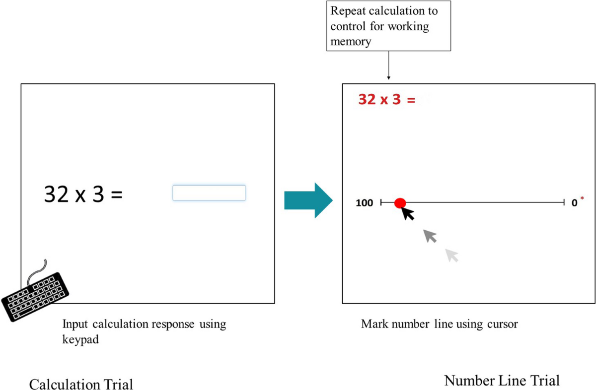 Diverging roles of domain-specific anxieties in number-space associations.  Insights from a multi-directional number line paradigm | Psychological  Research | Springer Nature Link