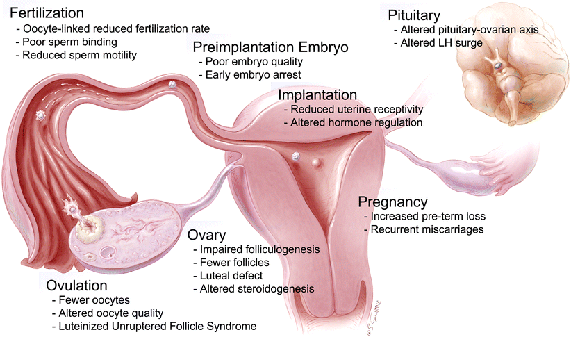 l carnitine injection im or subq where can i inject l carnitine l carnitine injection subq or im  Subcutaneous Injection Sites and Instructions for Safe Self-Administration