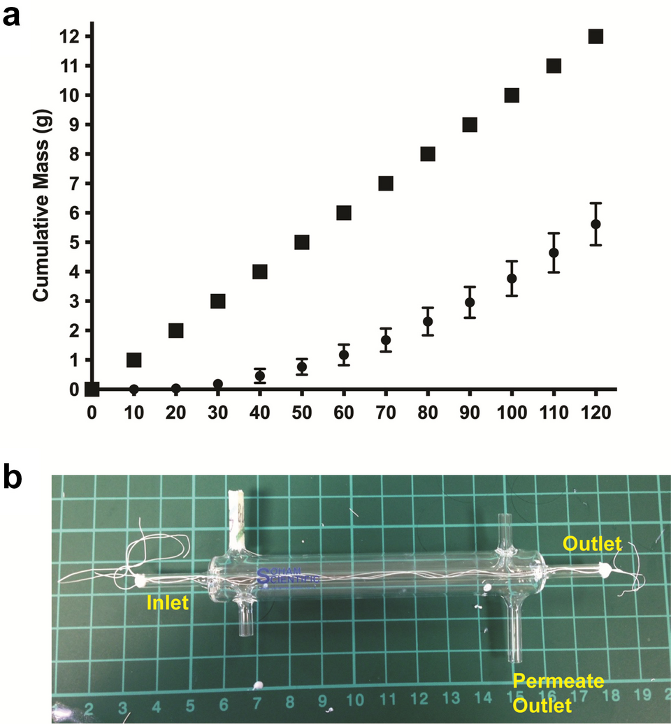 Cell alignment on novel polymeric micro-hollow fiber membranes for ...