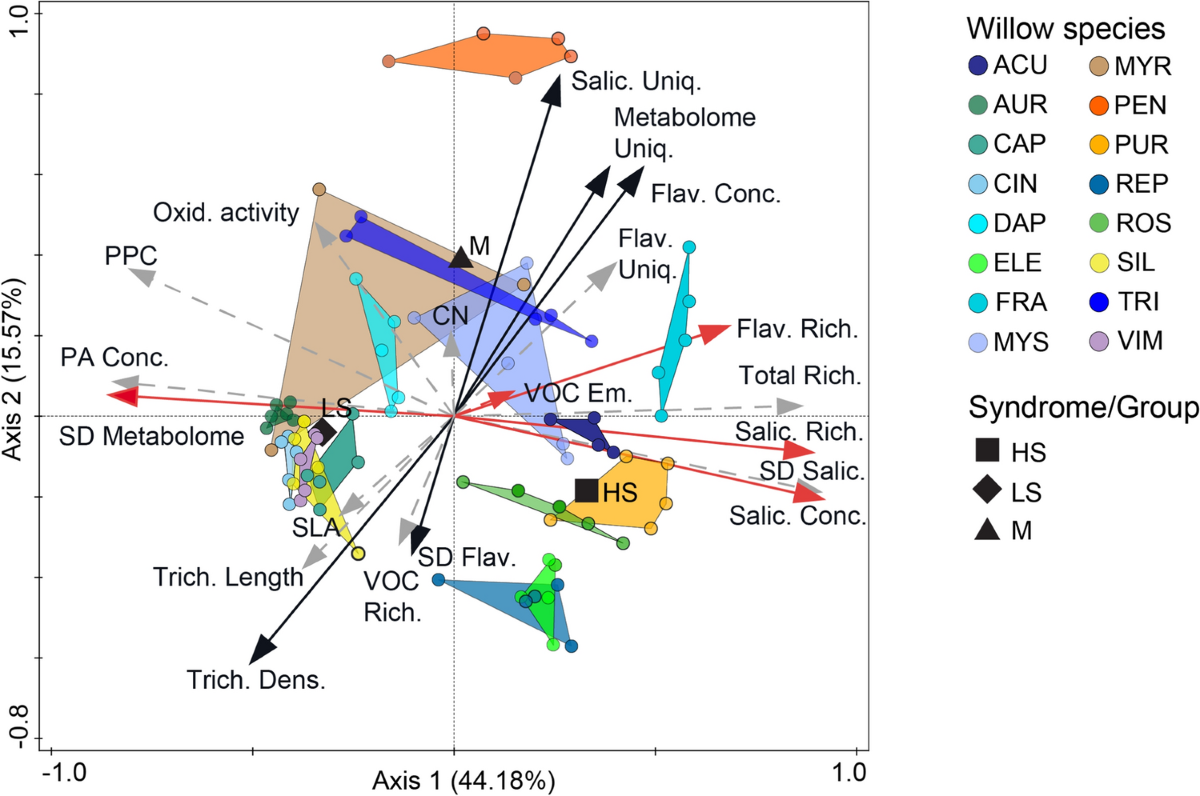 Effects of individual traits vs. trait syndromes on assemblages of various herbivore guilds associated with central European Salix | Oecologia effects-of-individual-traits-vs-trait-syndromes-on-assemblages-of-various-herbivore-guilds-associated-with-central-european-salix-oecologia