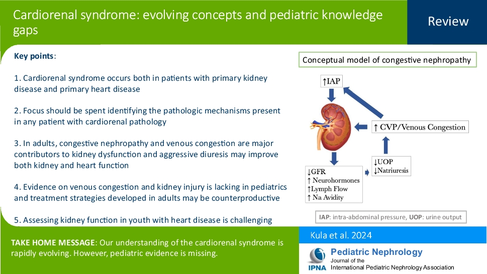 Cardiorenal syndrome: evolving concepts and pediatric knowledge 
