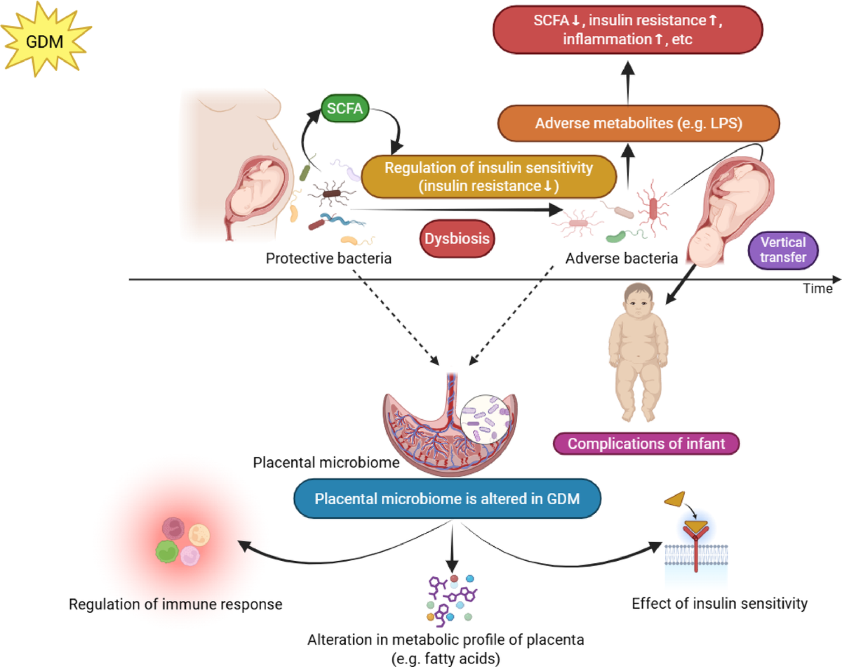 l-glutathione vs liposomal glutathione Liposomal Glutathione Uses and Benefits l-glutathione vs liposomal glutathione Liposomal Glutathione Uses and Benefits