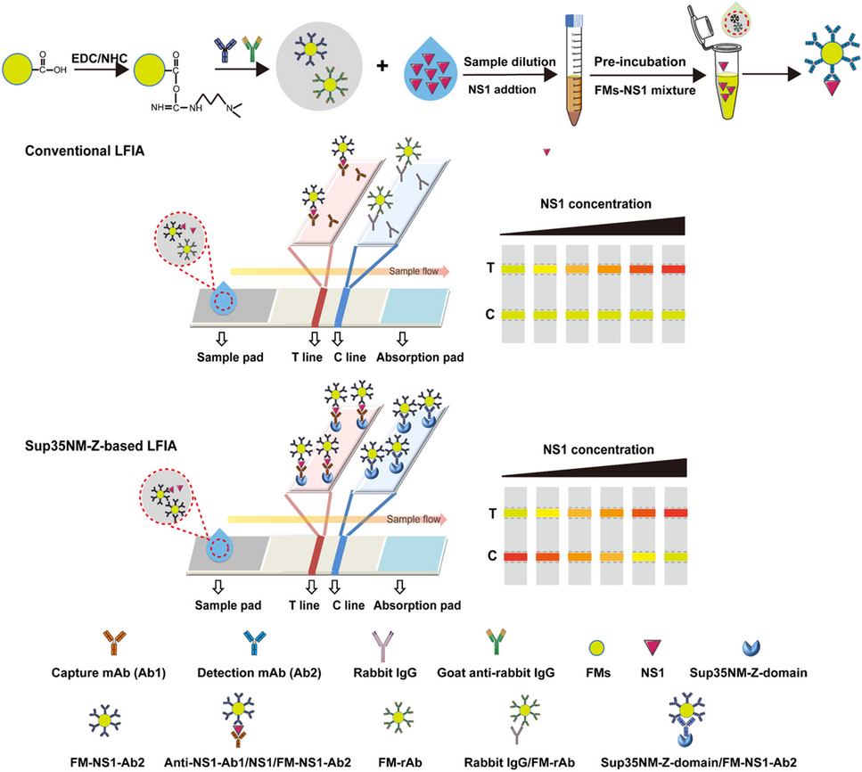 1円 SNB/19 FLOW/フロー ALPHA EXOFIT/CHARCOAL/L 1円 SNB⁄19 FLOW⁄フロー ALPHA EXOFIT ⁄CHARCOAL⁄L