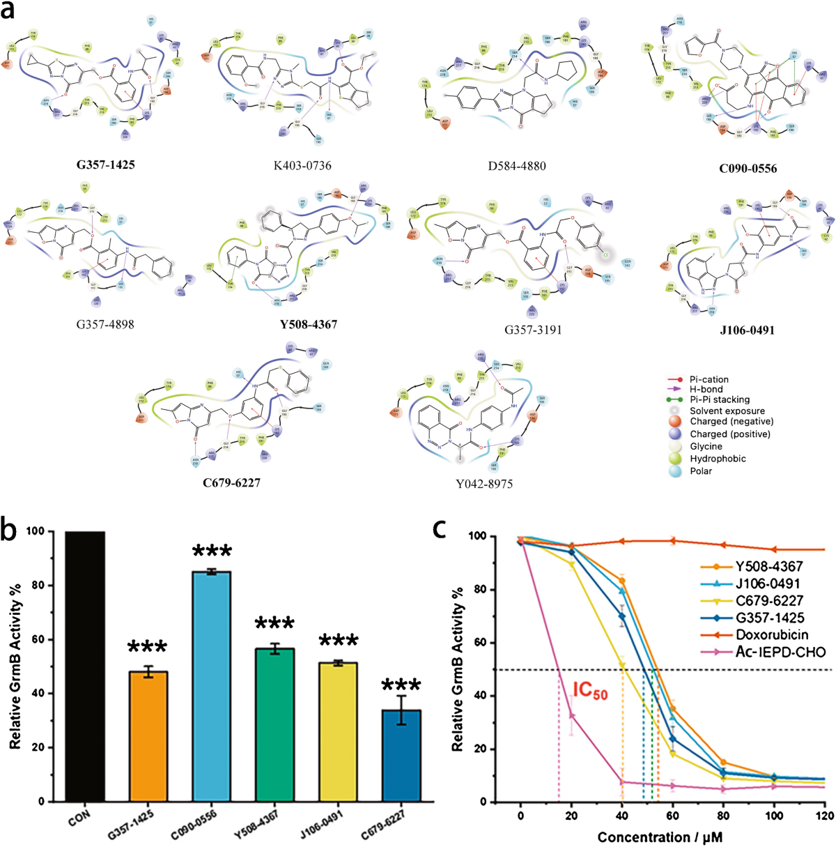 Efficient colorimetric assay promotes the virtual screen of granzyme B  inhibitors | Microchimica Acta