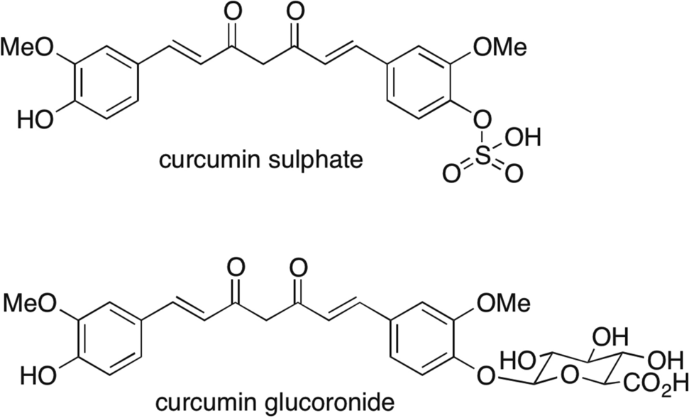 paraxanthine glutathione catalase Measurement of superoxide dismutase, catalase and glutathione peroxidase in  cultured cells and tissue